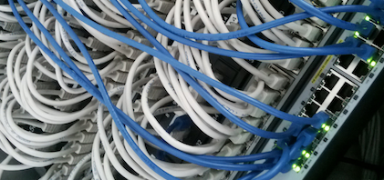 Image Illustrating the presentation, "The Jungle of the Real"